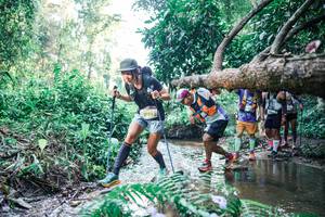 BIB: 
                            <button type="button" onclick="openModal(25444528)" class="btn btn-primary btn-sm float-right btn-popup" data-toggle="modal" data-target=".modal-high-quality">
                        <i class="fas fa-shopping-cart"></i> Add to Cart
                    </button>
                                            <button type="button" onclick="isThisMe(25444528, true)" class="btn btn-success btn-sm float-right btn-popup btn-isme hidden" data-toggle="tooltip" data-placement="bottom" title="นี่คือรูปของคุณใช่ไหม คลิกที่นี่เพื่อเอาเข้าอัลบั้ม">
                        <i class="fas fa-plus"></i> Add to album
                    </button>
                    <button type="button" onclick="isThisMe(25444528, false)" class="btn btn-warning btn-sm float-right btn-popup btn-isnotme hidden">
                        <i class="fas fa-ban"></i> Remove from album
                    </button>